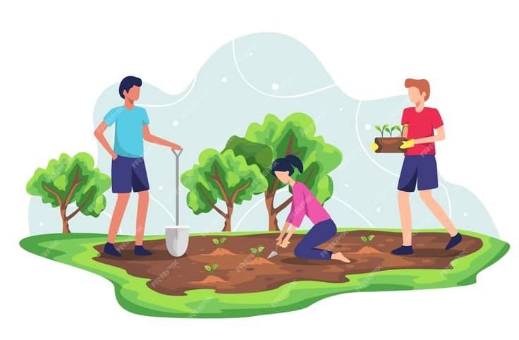 Tailor Made Solutions 5 download 37